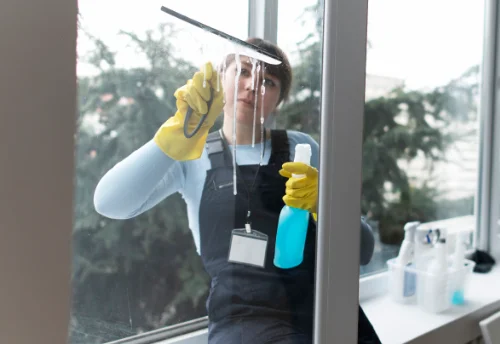 Nettoyage de vitres intérieures et extérieures à Chanoy
